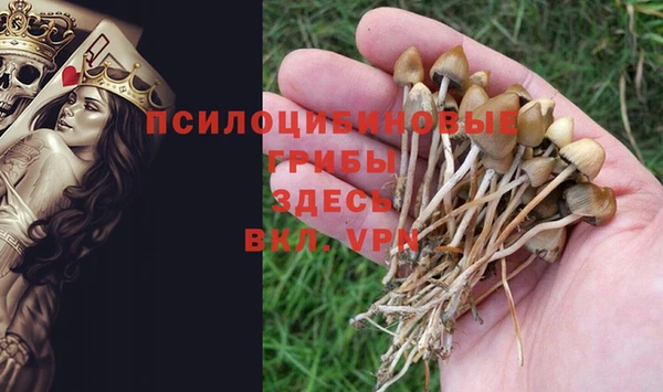 дживик Навашино