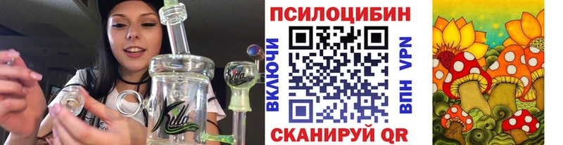 где можно купить   Южноуральск  Галлюциногенные грибы мицелий 
